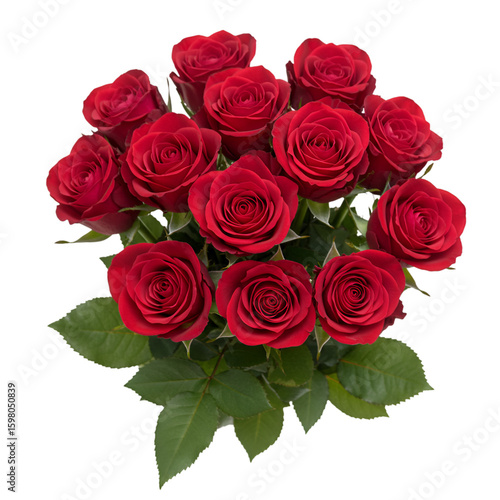 Bouquet of Red Roses Isolated on Transparent Background