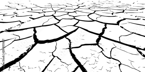 "A stark, black and white, high-contrast image showing a wide expanse of deeply cracked earth, stretching towards a distant horizon, emphasizing the textures and patterns of drought and desiccation."