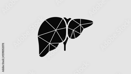 Geometric black liver illustration with interconnected lines suggesting a network or cellular structure, representing health, science, or medical concepts with a clean, modern aesthetic
