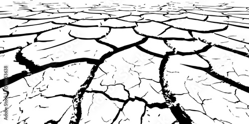 "A stark, black and white, high-contrast image showing a wide expanse of deeply cracked earth, stretching towards a distant horizon, emphasizing the textures and patterns of drought and desiccation."