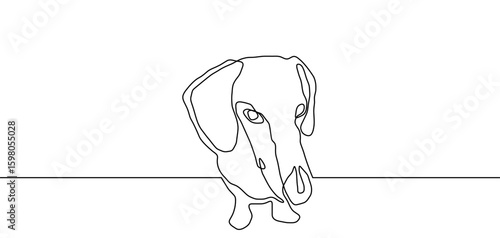 Dog outline line art continuous pet one animal puppy illustration silhouette. Line dog outline abstract vector doodle logo drawing sketch linear icon happy dachshund simple white background cute walk.