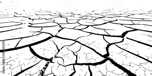 "A stark, black and white, high-contrast image showing a wide expanse of deeply cracked earth, stretching towards a distant horizon, emphasizing the textures and patterns of drought and desiccation."