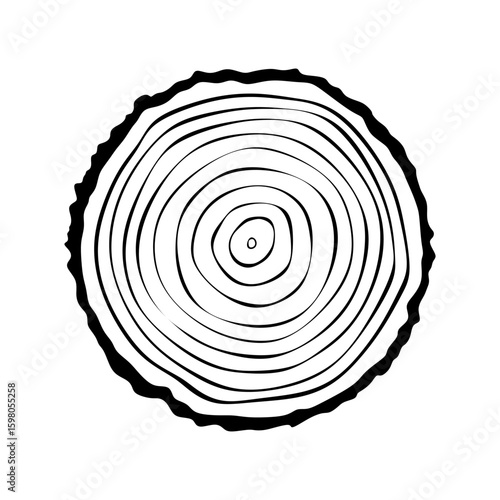 Round tree trunk cut, tree stump highlighting growth rings. Detailed cross-section of tree trunk with showcasing the intricate growth rings. Sawn pine or oak slice isolated. Vector illustration