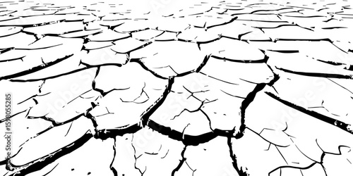 "A stark, black and white, high-contrast image showing a wide expanse of deeply cracked earth, stretching towards a distant horizon, emphasizing the textures and patterns of drought and desiccation."