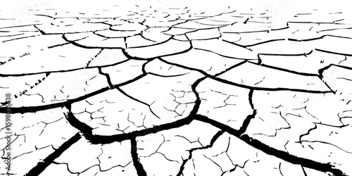 "A stark, black and white, high-contrast image showing a wide expanse of deeply cracked earth, stretching towards a distant horizon, emphasizing the textures and patterns of drought and desiccation."