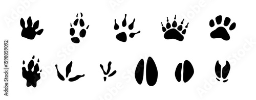 Footsteps of fauna species set. Vector isolated domestic and wildlife animals footprints. Paw prints collection. Cattle tracks. Cow and bear, goat and sheep, avian creatures and deer, fox and wolf