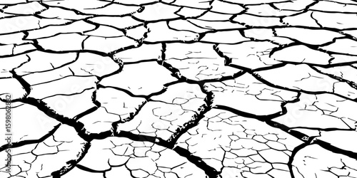 A stark, high-contrast, black and white close-up of severely cracked earth, showing a network of deep fissures and irregular polygons. The texture emphasizes the dryness and desolation of the ground.