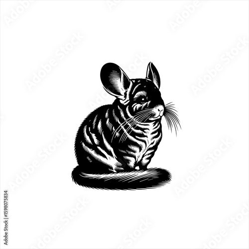Black and white illustration of a chinchilla sitting