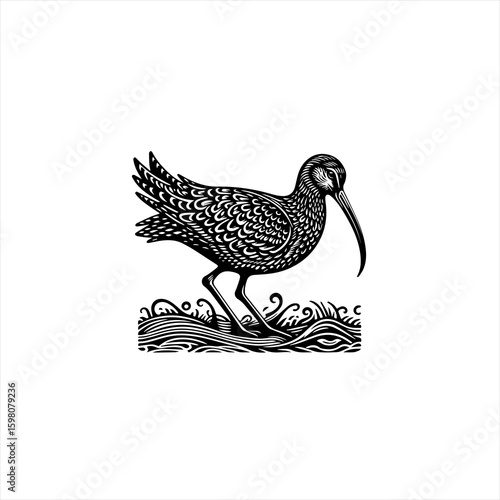 Black and white linocut illustration of a curlew bird standing in water