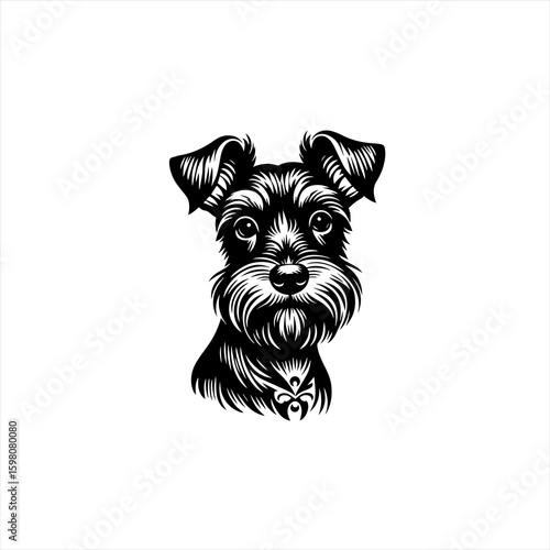 Stylized black and white portrait of a miniature schnauzer dog