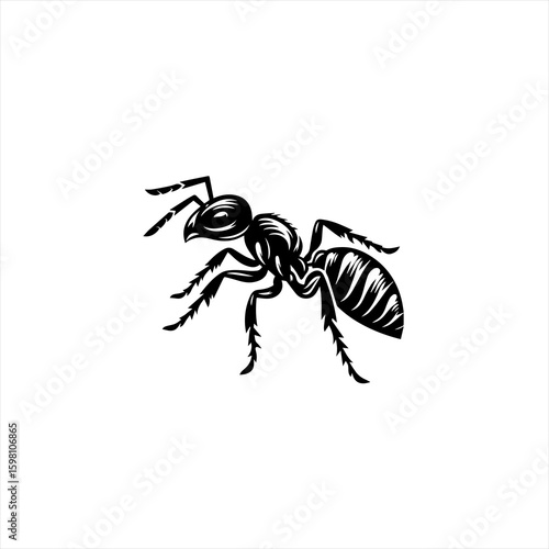 Black ant silhouette on white background