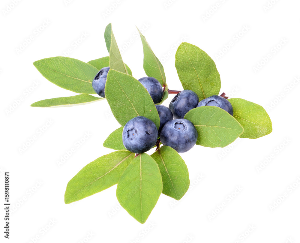 Fresh blueberries with green leave, isolated on white background, top view Fresh blueberries with green leave, isolated on white background, top view
