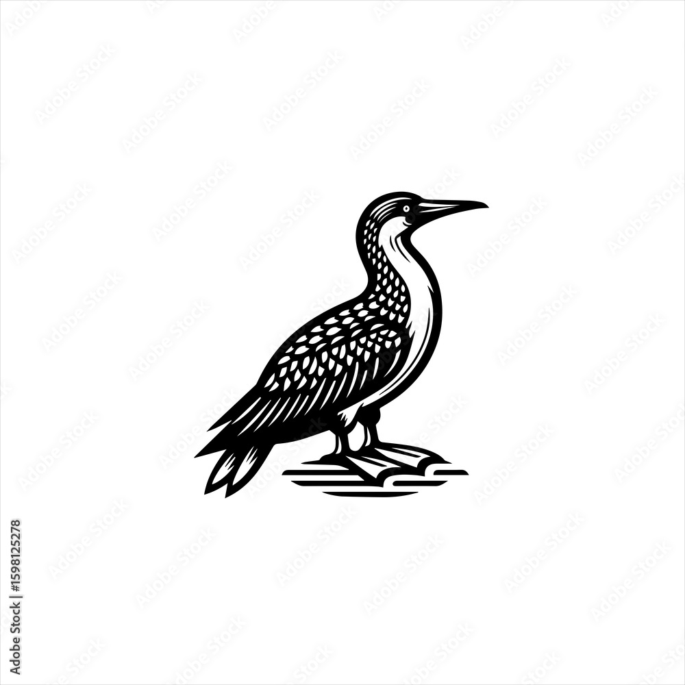 Fototapeta premium Black and white woodcut style illustration of a loon bird