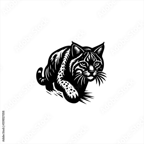 Black and white illustration of a bobcat stalking forward