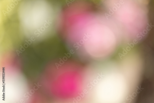 Dreamly, out of focus abstract floral image featuring soft color gradients and natural petal textures. This artistic background is perfect for photograghers, designers and retouchers.