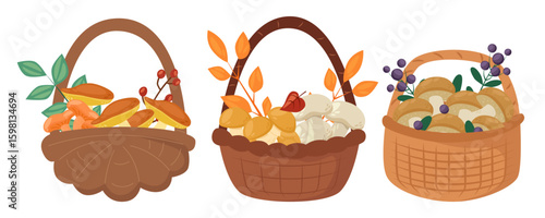 Collection of Baskets with Mushrooms and Leaves.