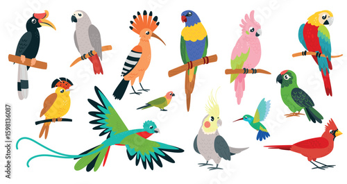 Cartoon tropical birds. Cute parrots, kolibri toucan. Paradise exotic bird, sitting on branch, flying. Isolated parakeet macaw ara, classy vector characters