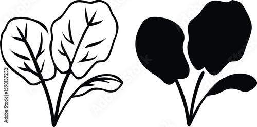 Spinach icons. Black and White Vector Vegetarian Food Icons. Healthy Eating. Vegetables Concept

