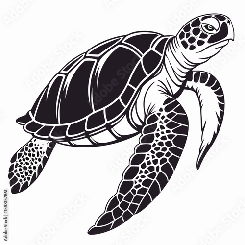 Tortoise Vector Illustration – Cute Reptile Animal Design