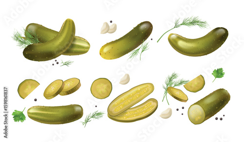 Pickled cucumbers. Realistic pickle cucumber, gherkin gourmet sour food salt snack with dill chopped gherkins vinegar vegetable vegan meal 3d isolated exact vector illustration