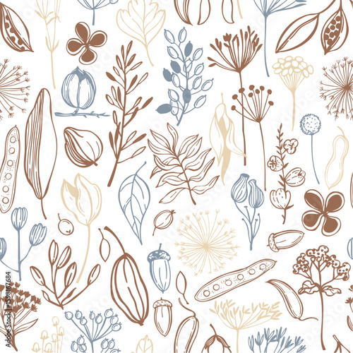 Hand-drawn wild herbs, flowers and seedpods.  Vector seamless pattern.  