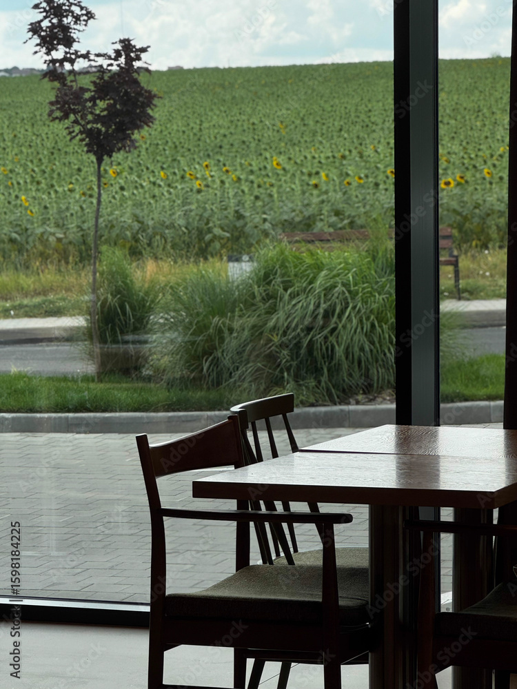 Fototapeta premium Cafe Interior Overlooking Sunflower Field