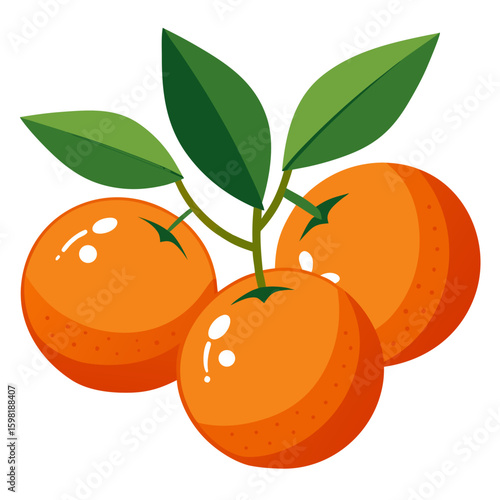 ripe apricots with leaves