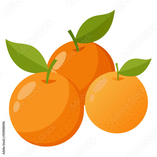 vector illustration of ripe oranges