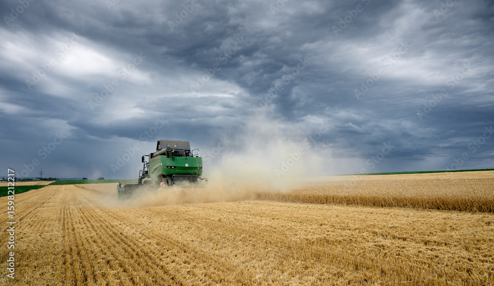Obraz premium combine harvester harvesting wheat during an approaching thunderstorm on a field in the vertile and fruitful of Langes Feld north of Stuttgart, Baden-Württmberg, Germany