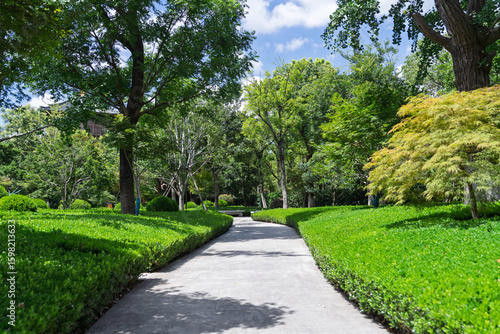 Photography Green park trails in shanghai