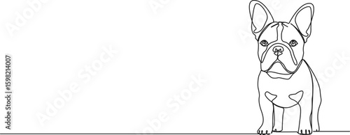 continuous single line drawing of cute french bulldog, line art vector illustration