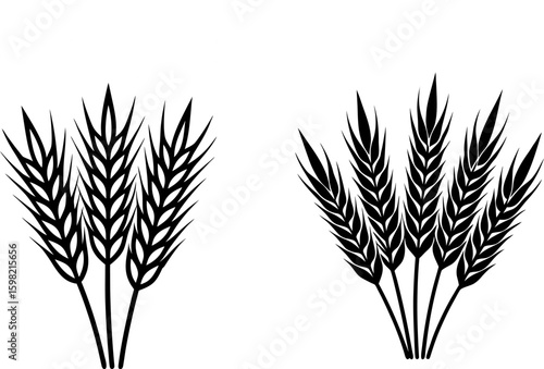 Black wheat stalk vector, wheat stalk art, wheat stalk vector art design, Vector of wheat stalk art, wheat stalk isolated