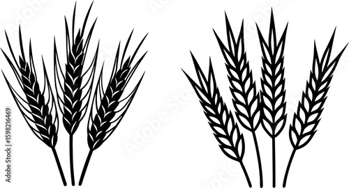 Black wheat stalk vector, wheat stalk art, wheat stalk vector art design, Vector of wheat stalk art, wheat stalk isolated
