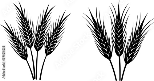 Black wheat stalk vector, wheat stalk art, wheat stalk vector art design, Vector of wheat stalk art, wheat stalk isolated