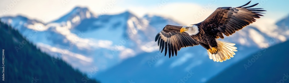 Obraz premium A bald eagle soars against a backdrop of snow-capped mountains and clear blue sky.