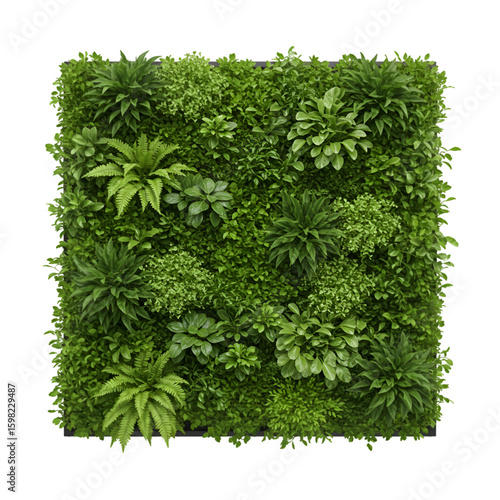 Photorealistic Square Green Wall on Transparent Background