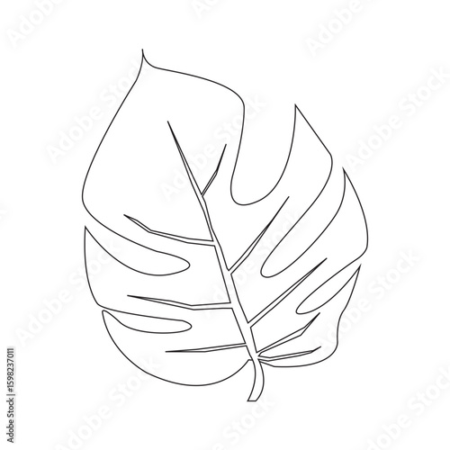 Taro leaf icon on white background