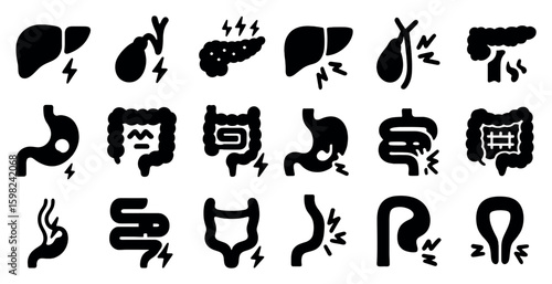 Digestive system silhouette icons set – solid, healthcare, anatomy symbols