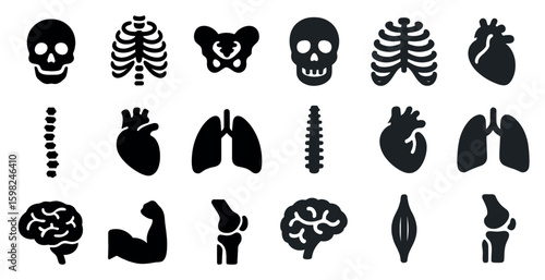 Human anatomy silhouette icons set – medical, skeletal, organ symbols for healthcare