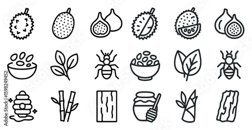 Fruit and nature outline icons set – organic, plant, healthy living symbols