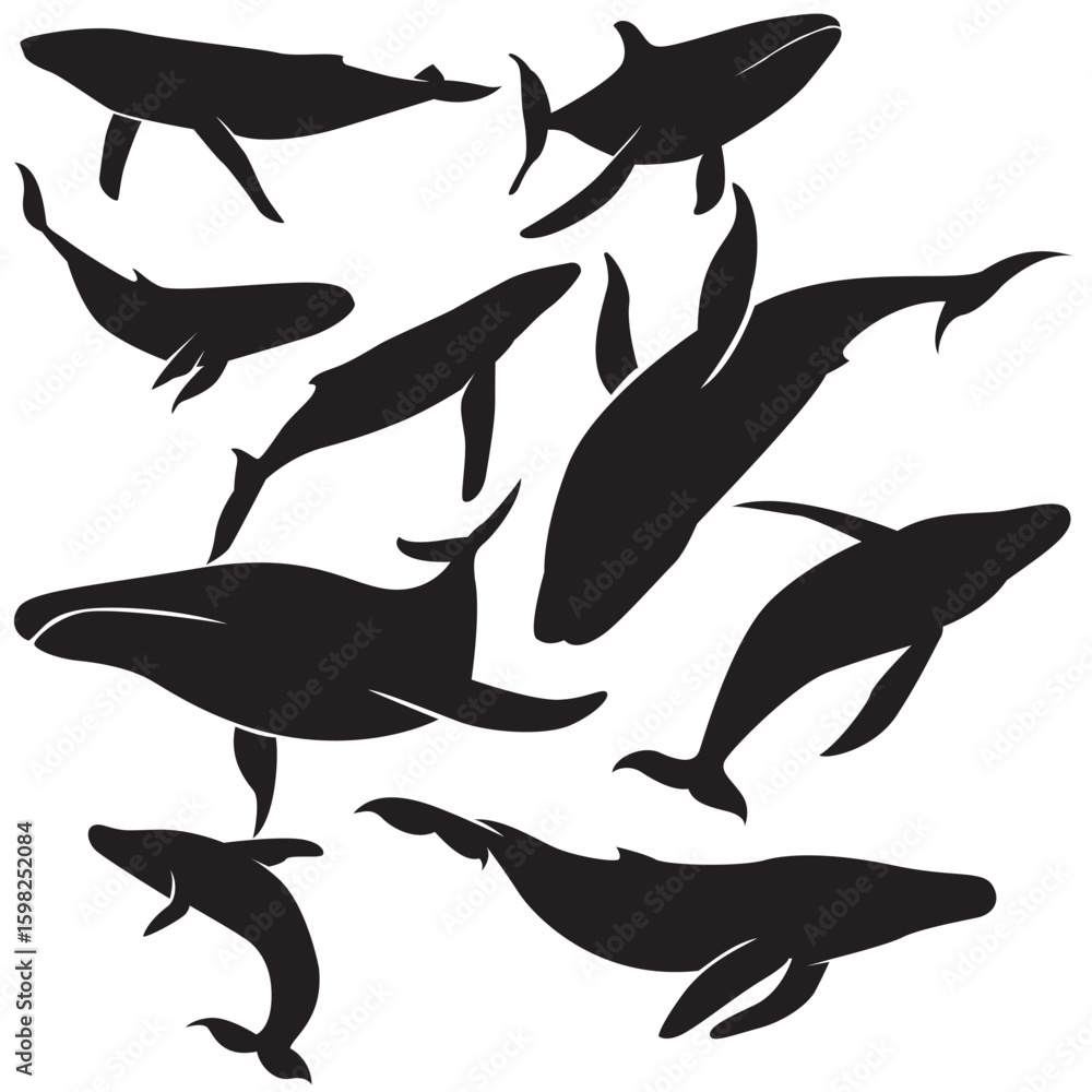 Fototapeta premium Illustration vector graphics of A set whale silhouette in various dynamic poses perfect for background, stickers, Clipart, decorations, animals themed, decorations, educational materials, etc