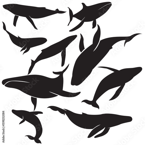 Illustration vector graphics of A set whale silhouette in various dynamic poses perfect for background, stickers, Clipart, decorations, animals themed, decorations,  educational materials, etc