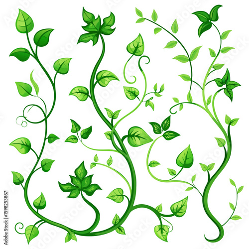 Green vines with leaves and curling tendrils on a white background
