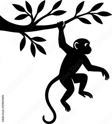 Photography tree branch and monkey