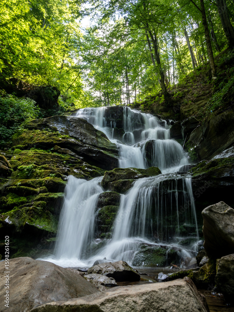 Naklejka premium waterfall in the forest