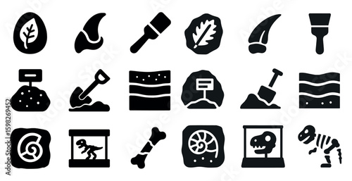 Paleontology solid icons set – fossils, archaeology, discovery symbols