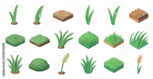 Nature and garden isometric icons set – landscaping, greenery, plant symbols