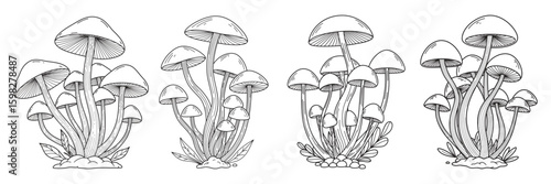 Mushroom set line art silhouette vector illustration