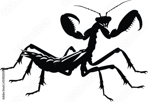 mantis animal black color vector illustration.