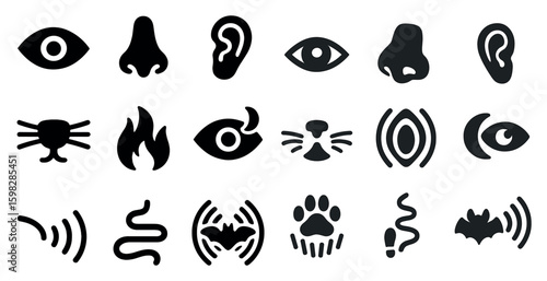 Animal sense symbols icons set - silhouette, filled, nature and wildlife signs